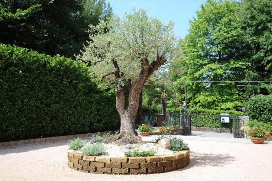 Villa Baroni Lomnago Esterno foto